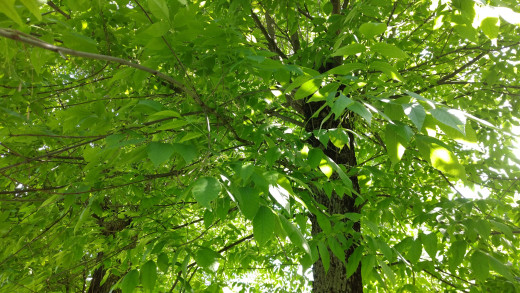 1172597 (a): :2560x1440